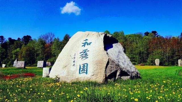 这2种食物看似不起眼,吃多了也许“肝硬化”会找上来,多留心了